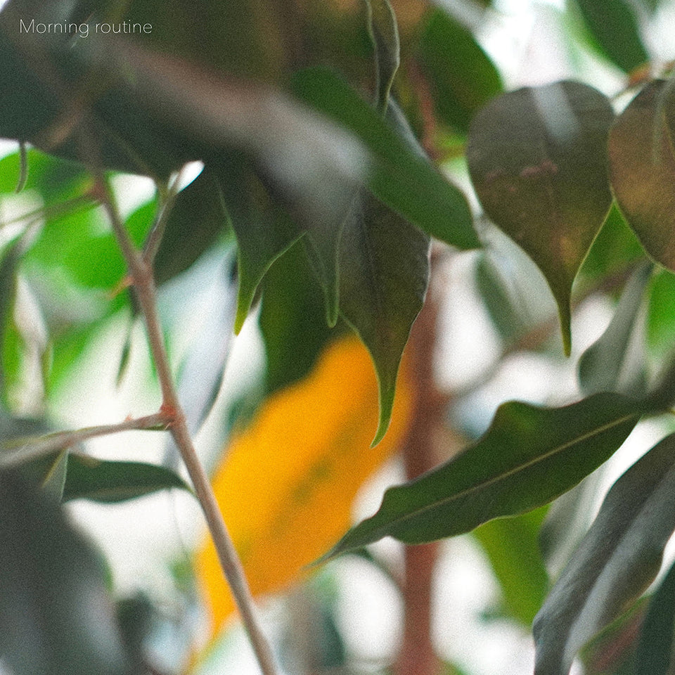 DIRTYTHREE – Morning Routine: Laid-Back Instrumental Hip Hop Single Out Now